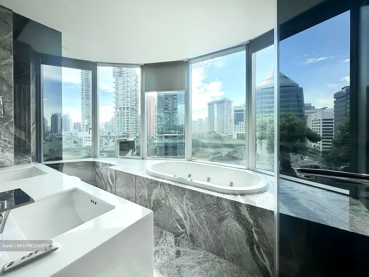 The Orchard Residences (D9), Apartment #549790391